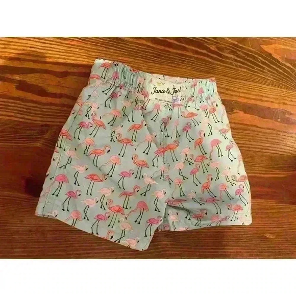 Janie and Jack Mint Flamingo Swim Trunks, size 3-6 months - Picture 8 of 8